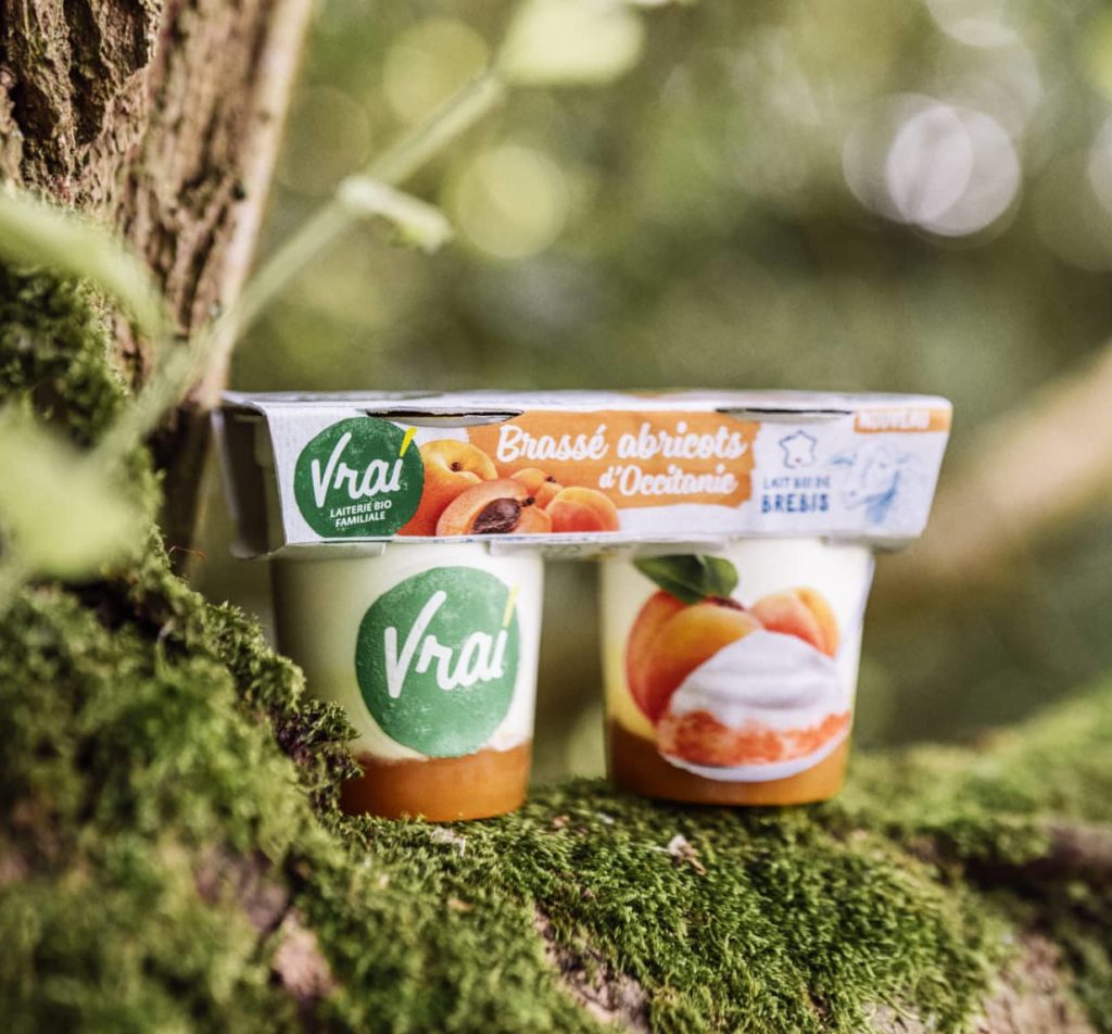 Brassé brebis abricots d'Occitanie shooté dans la nature