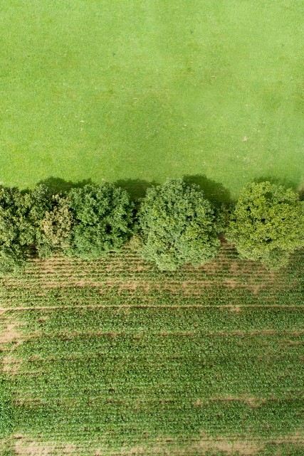 Image2