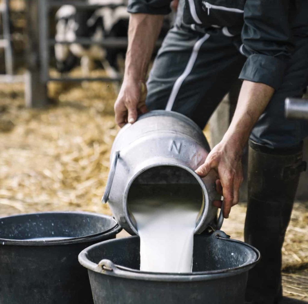 lait de vache bio Vrai